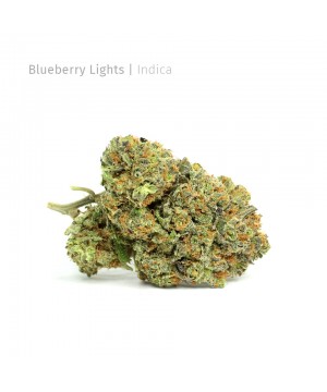 Blueberry Lights | Indica